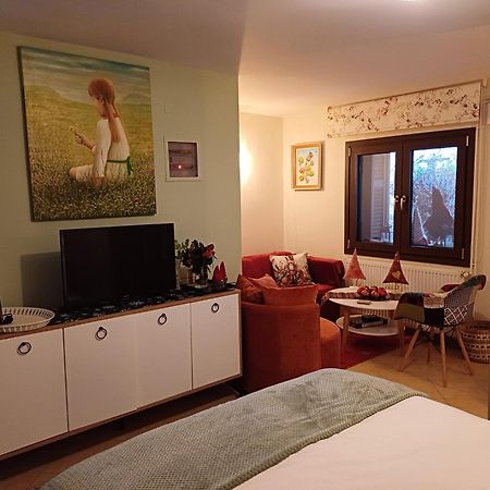 Το Σπίτι Της Ευτυχίας Στούντιο Appartement Karpenisi Buitenkant foto