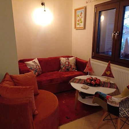 Το Σπίτι Της Ευτυχίας Στούντιο Appartement Karpenisi Buitenkant foto
