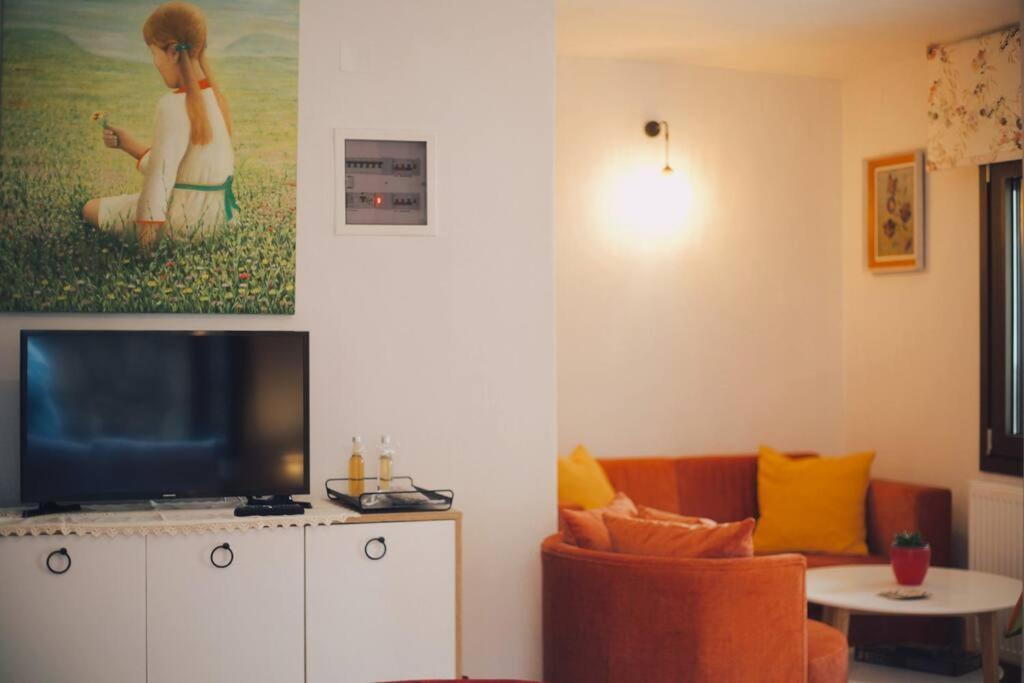 Το Σπίτι Της Ευτυχίας Στούντιο Appartement Karpenisi Buitenkant foto