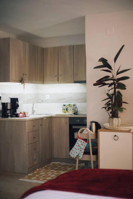 Το Σπίτι Της Ευτυχίας Στούντιο Appartement Karpenisi Buitenkant foto
